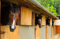 free Mickle Trafford stable construction quotes